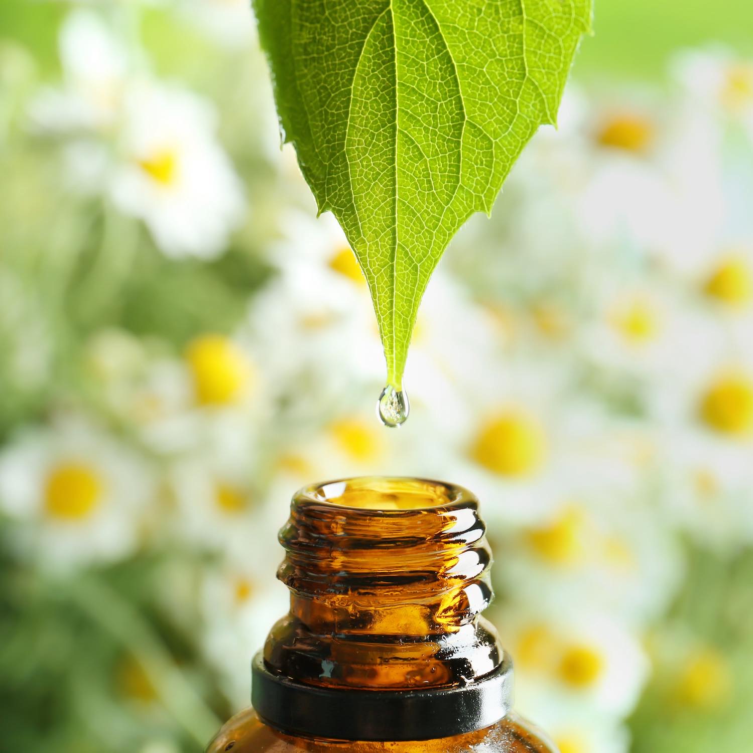Aromatherapie Pharmacie de Ruelle Centre